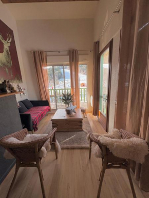 Ax 3 Domaines Plateau de Bonascre Charmant duplex face aux pistes avec terrasse Ax-Les-Thermes